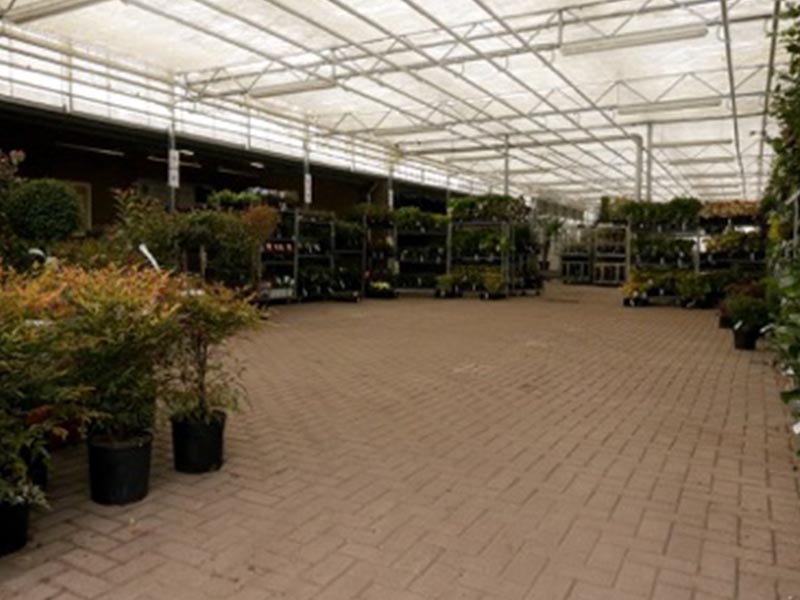 groothandel-tuinplanten-_0001_indoor-store-3 Vaassen: Groothandel planten l Bestel als hovenier en tuincentrum online tuinplanten