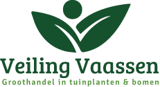 Veiling Vaassen: Groothandel planten l Bestel als hovenier en tuincentrum online tuinplanten en bomen